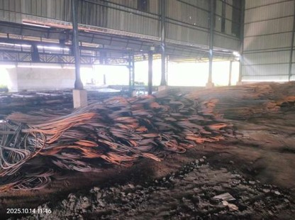 Cargo trucks stuck en route in lockdown – Am I covered?