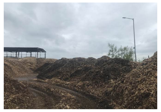 Disposal of fire affected Corn Cob on "as is where is basis"
