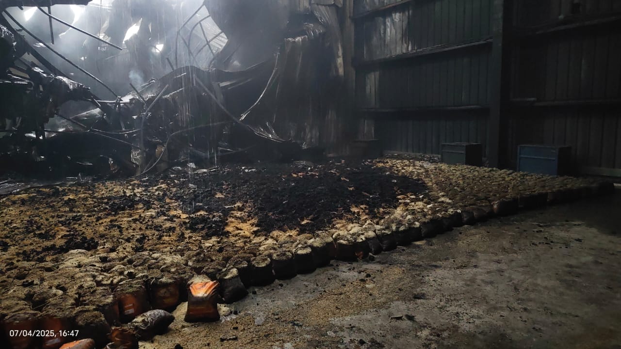 E Auction of fire and water affected rice on as is where is basis
