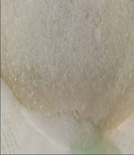 Disposal of Water Affected Sugar on "as is where is basis"