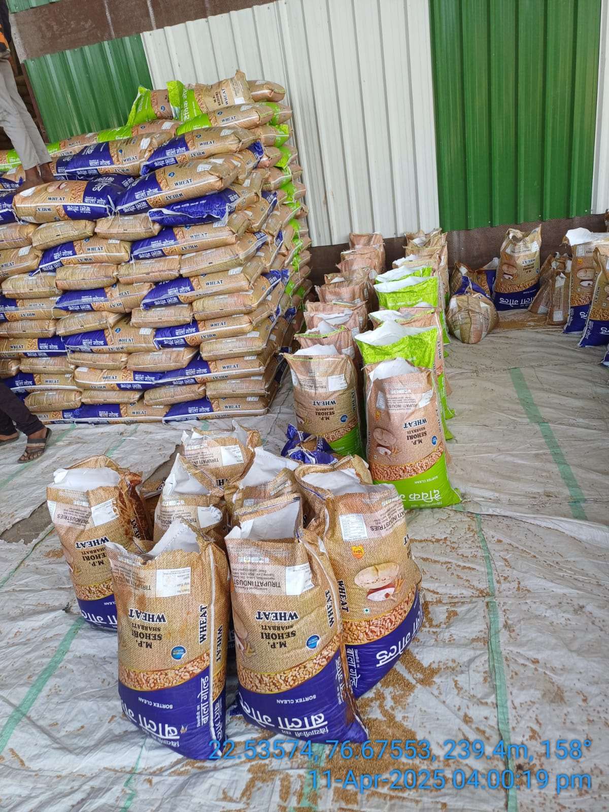 Disposal of water affected Wheat on "as is where is basis"